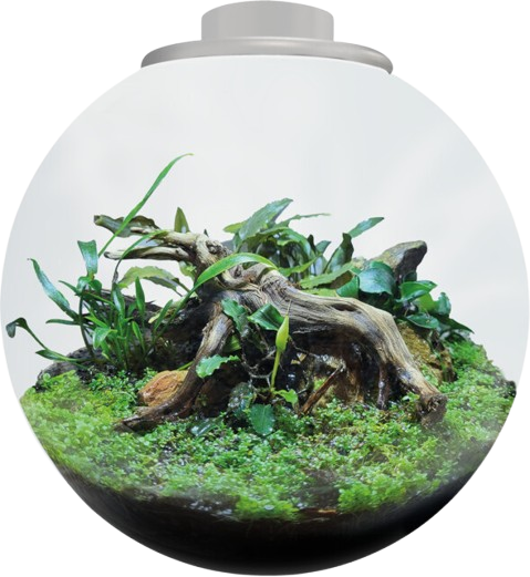 Superfish BioArt Bowl 225 wit