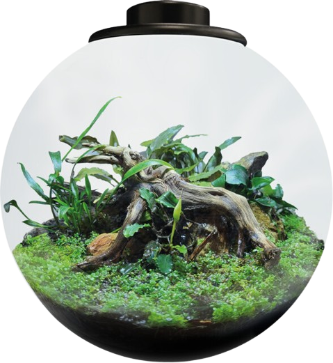 Superfish BioArt Bowl 225 zwart