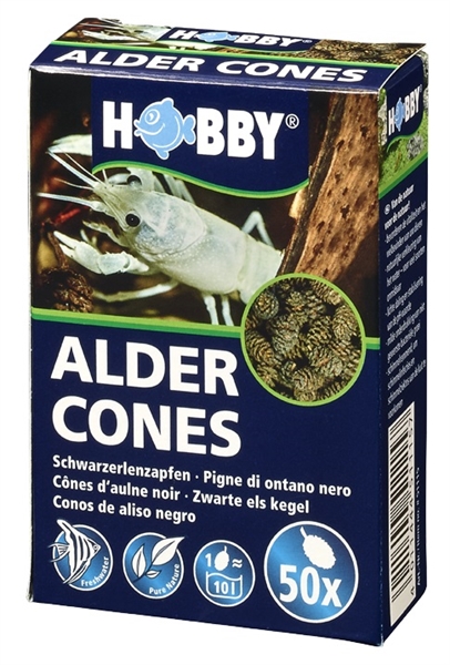 Hobby Elzenproppen / Alder Cones