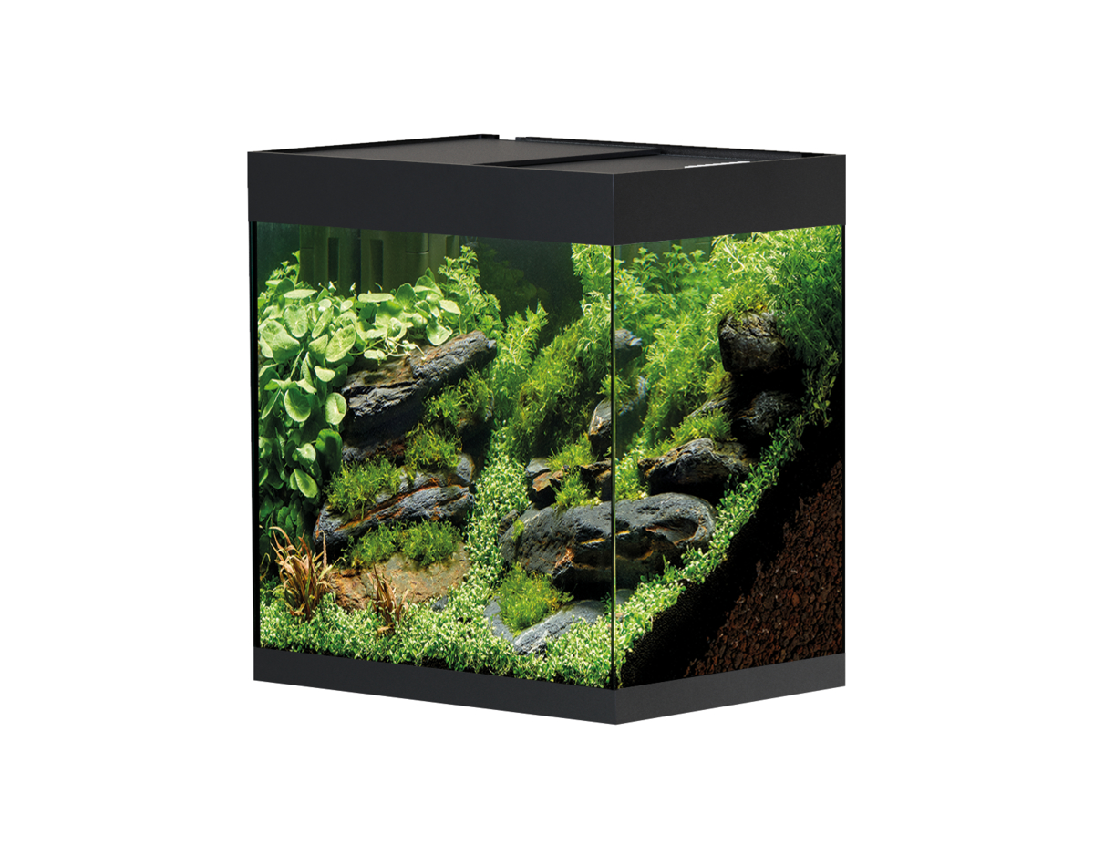 Oase StyleLine 85 aquarium zwart