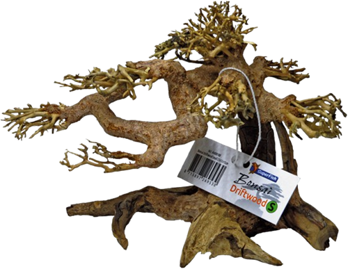 Superfish Bonsai Driftwood S